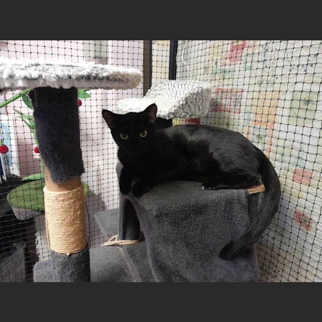 Photo of Noelle + Wanda