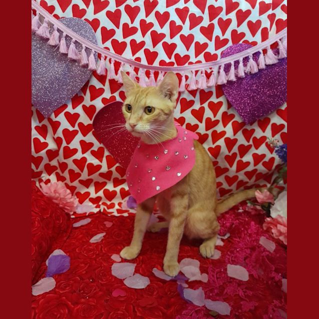 Photo of Noelle + Wanda