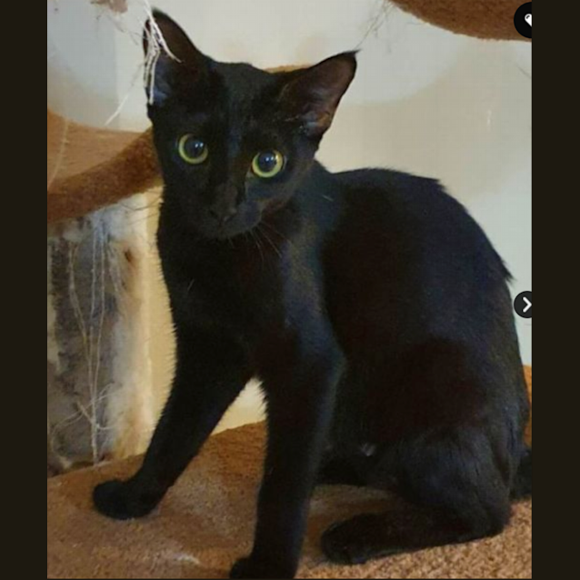 Photo of Noelle + Wanda