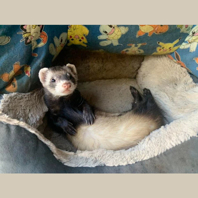 Photo of Jj & Penelope 