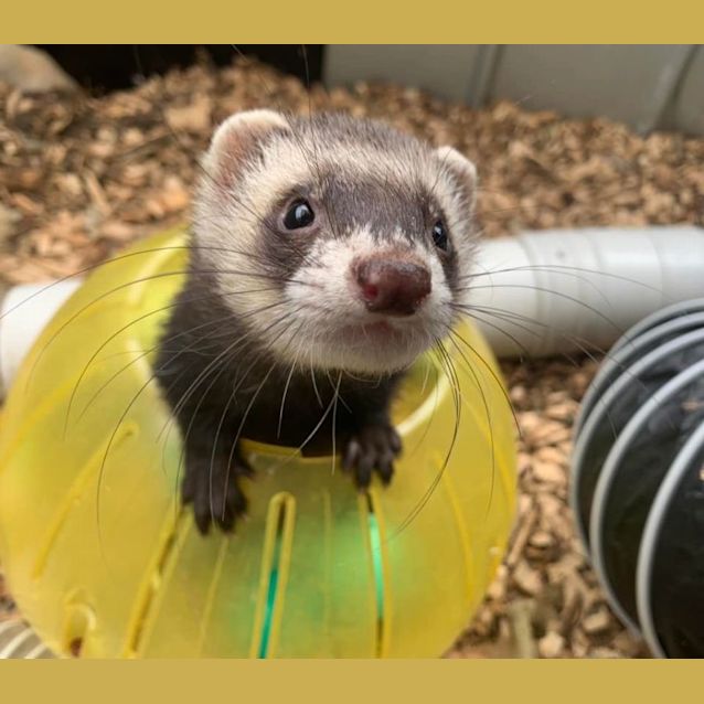 Photo of Bonnie & Clyde 