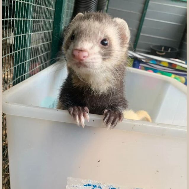 Photo of Nico & Lexi