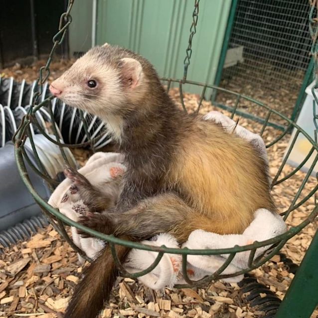 Photo of Nico & Lexi