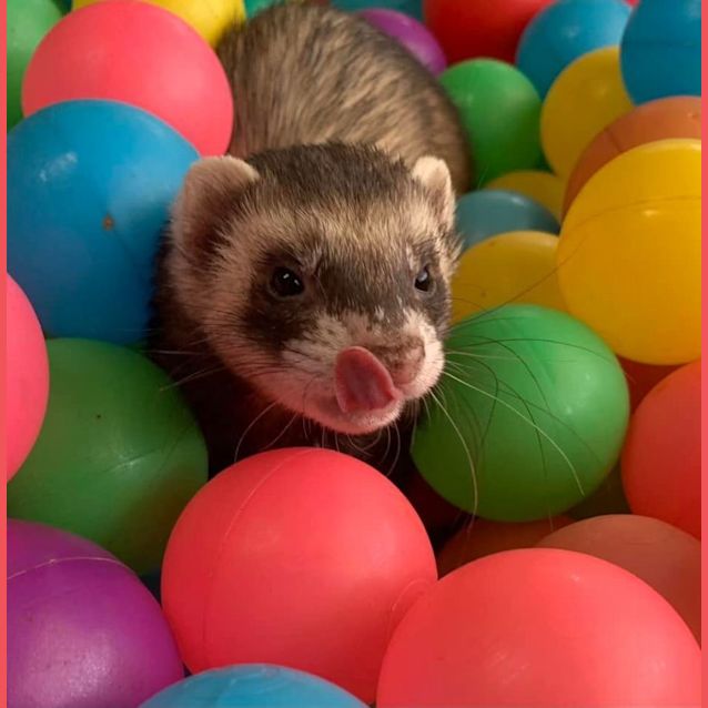 Photo of Disney & Lenny