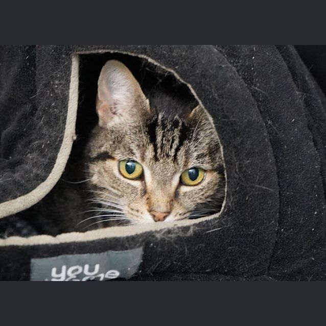 Photo of Maude