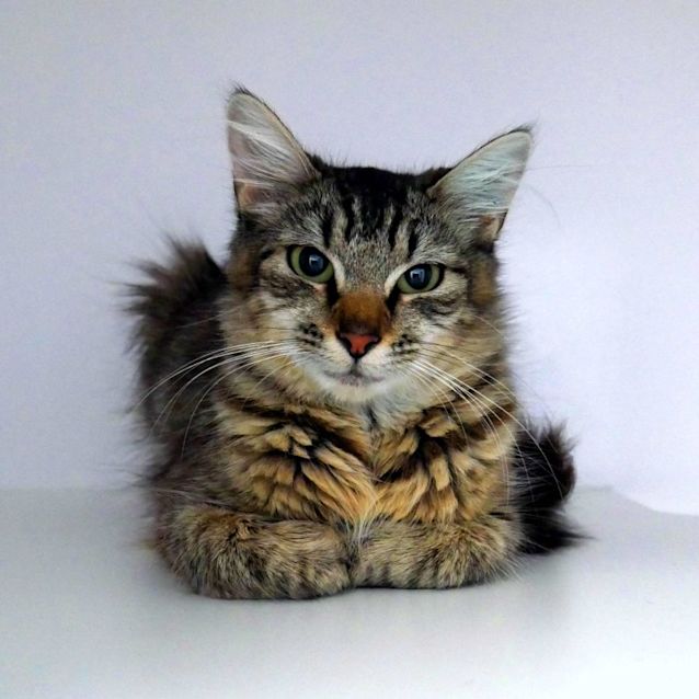 Photo of Abigail Sua010941