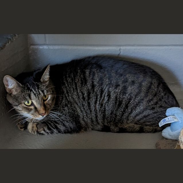 Photo of Odin