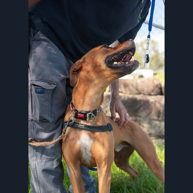 Photo of Axel