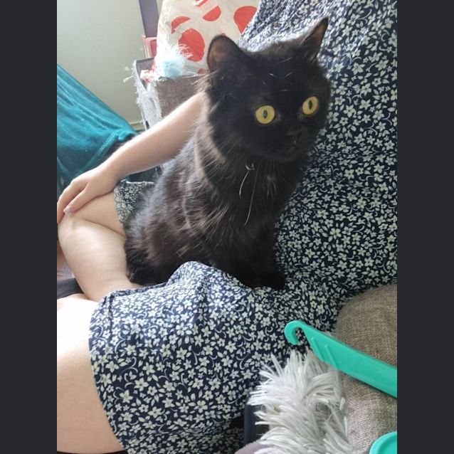 Photo of 🥦Broccoli🥦