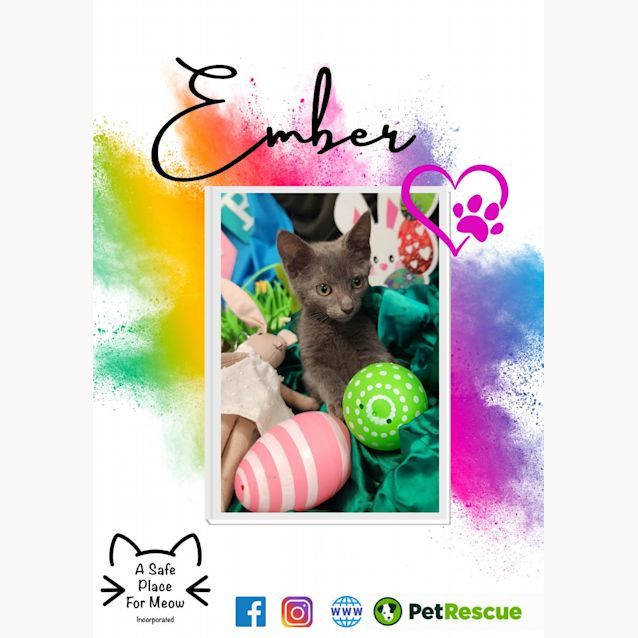 Photo of Ember