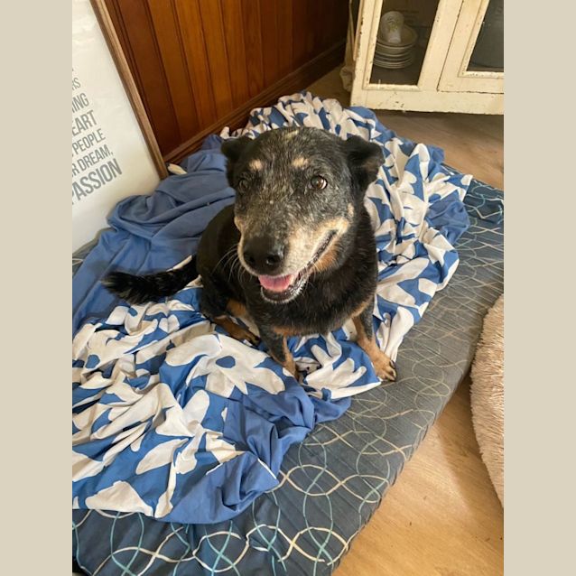 Photo of Gemma And Jack