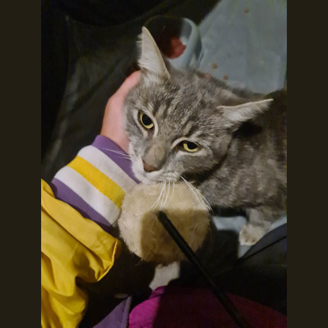 Photo of Smokey 