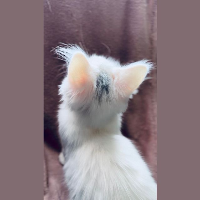Photo of Cloud   Located In Fairfield