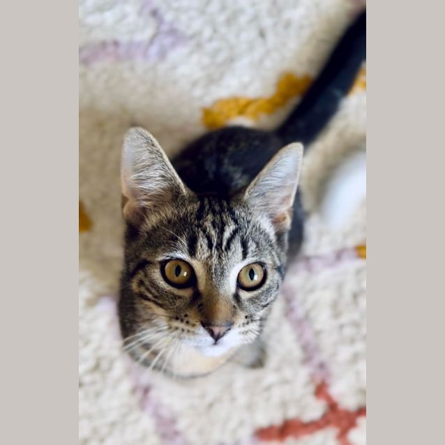 Photo of Coz   Located In Fairfield