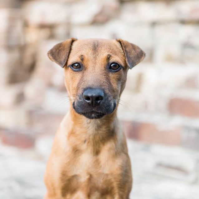 Photo of Zya