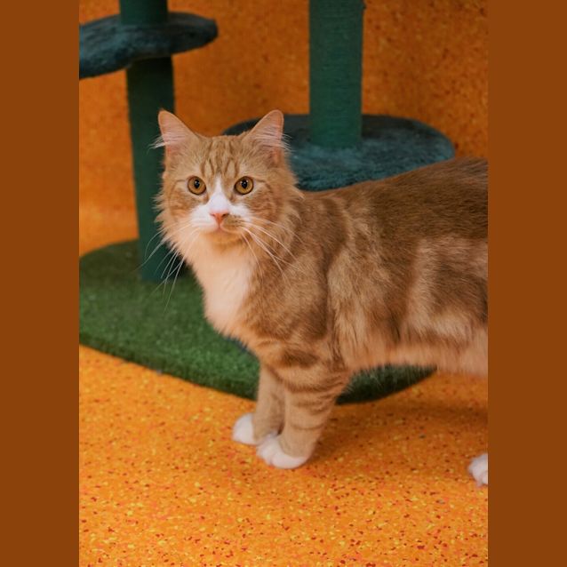 Photo of Gimli