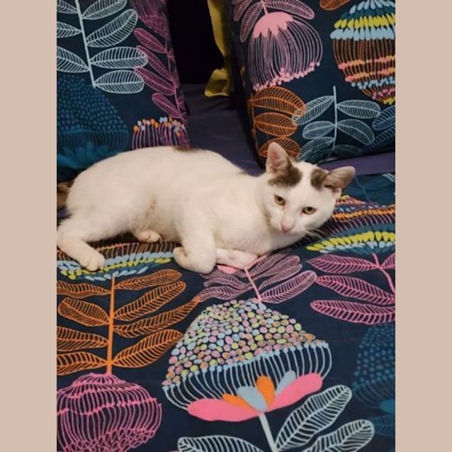 Photo of Alice & Aurora