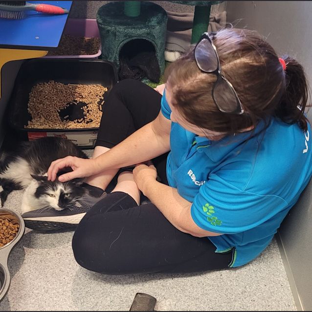 Photo of Katy Purrry