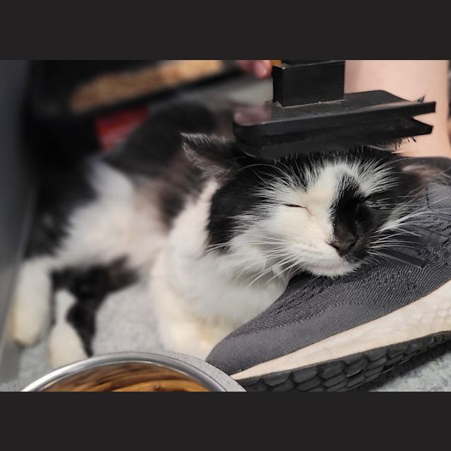 Photo of Katy Purrry