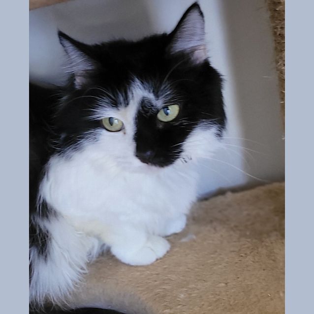 Photo of Katy Purrry