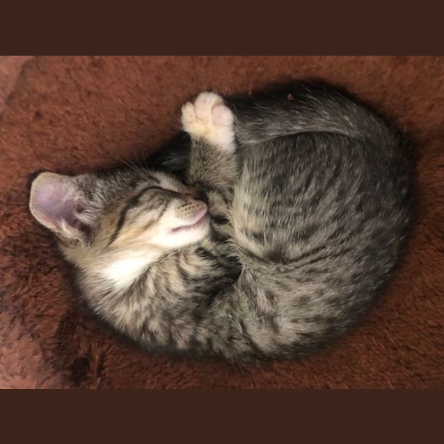 Photo of Janet