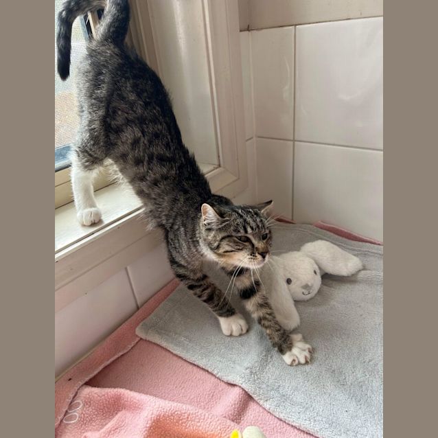 Photo of Stormi Girl