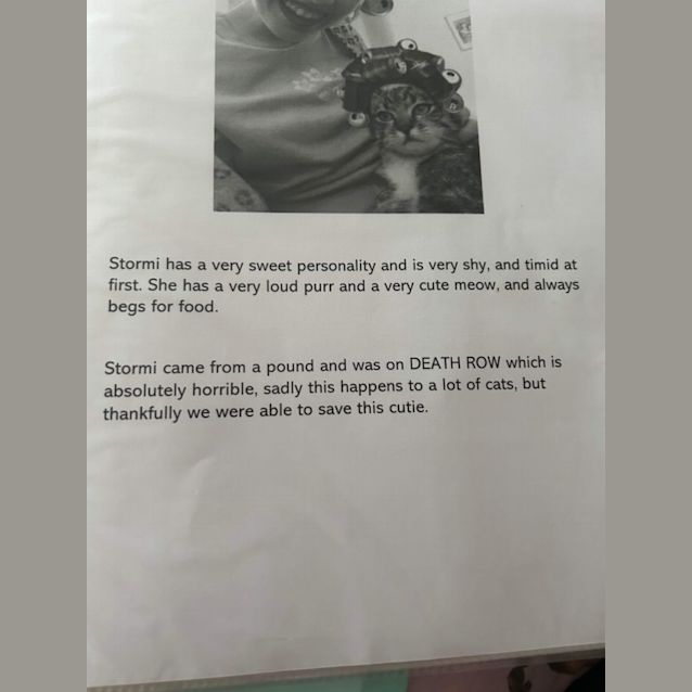 Photo of Stormi Girl