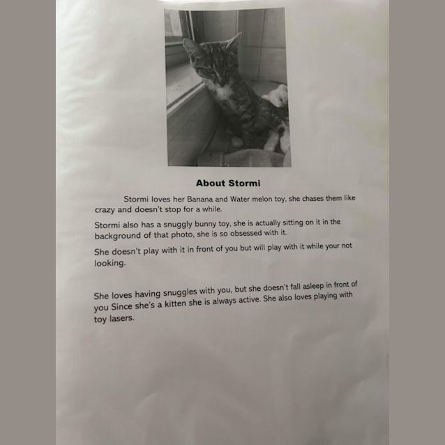 Photo of Stormi Girl