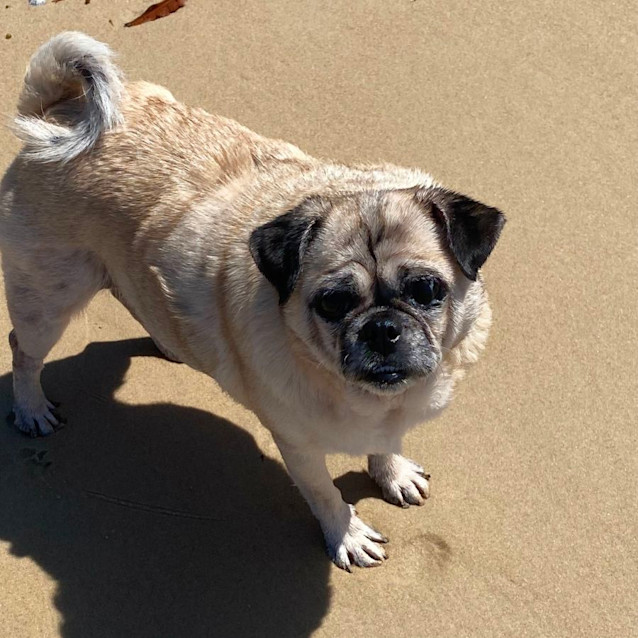 Photo of Miss Marley