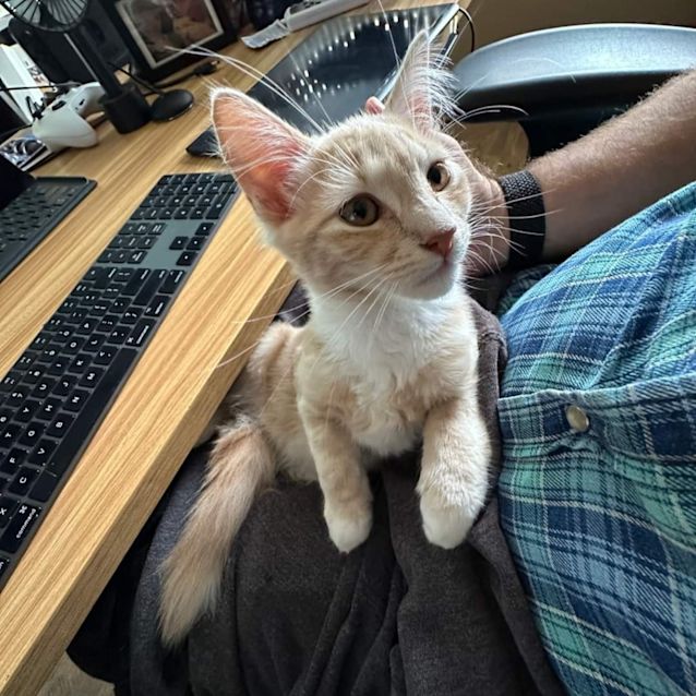 Photo of Ed