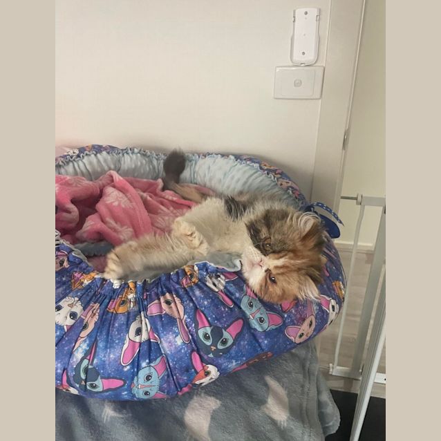 Photo of 🥕🍰Carrotcake🍰🥕