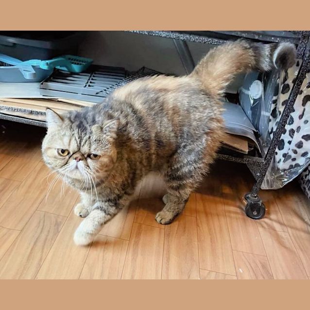 Photo of 🌈Dorothy🌈