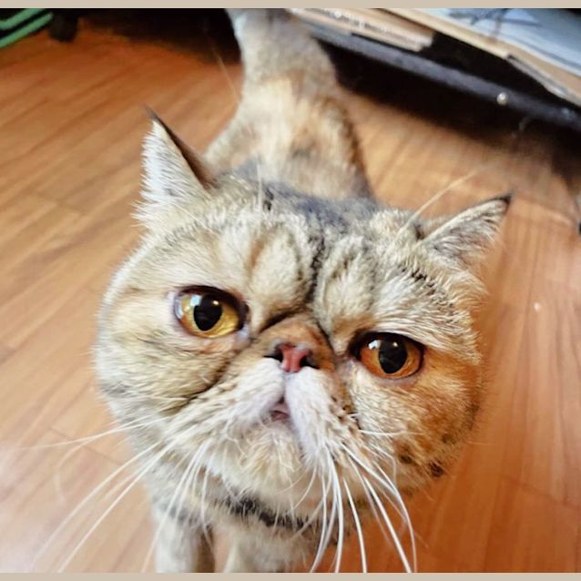 Photo of 🌈Dorothy🌈