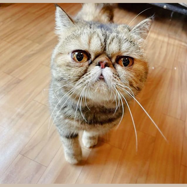 Photo of 🌈Dorothy🌈