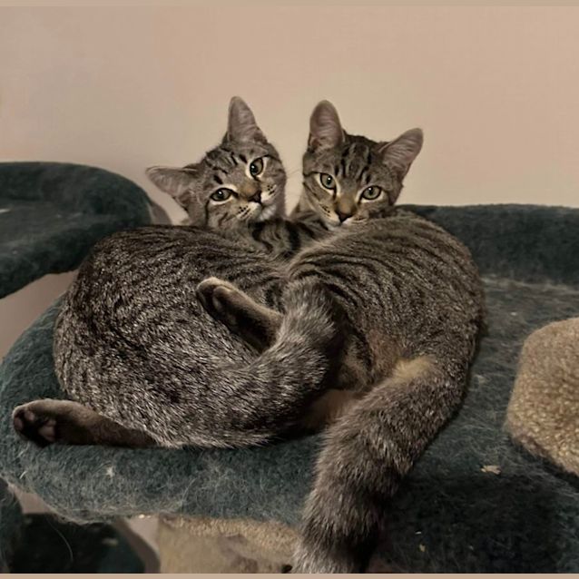 Photo of Jellybean & Jamie 