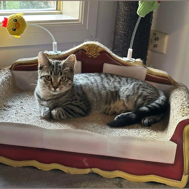 Photo of Jellybean & Jamie 