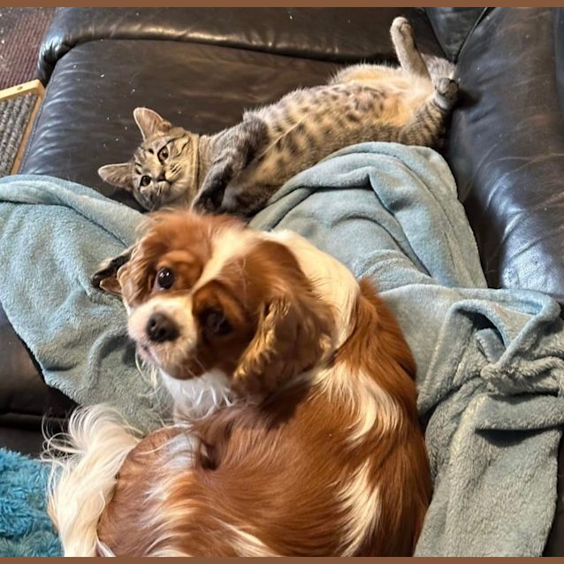 Photo of Jellybean & Jamie 