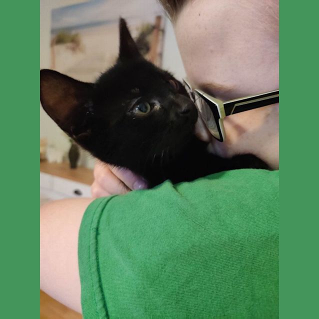Photo of Shadow