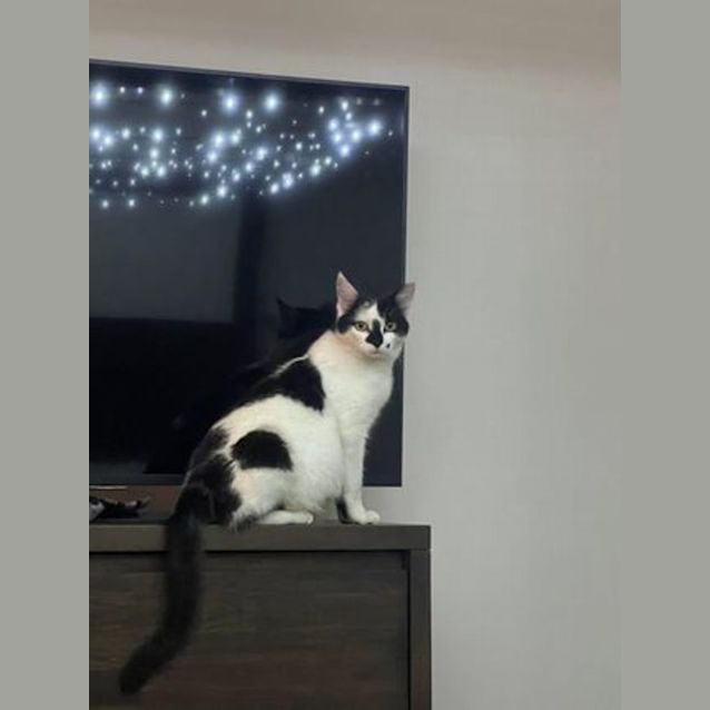 Photo of Catarina Aka Catta