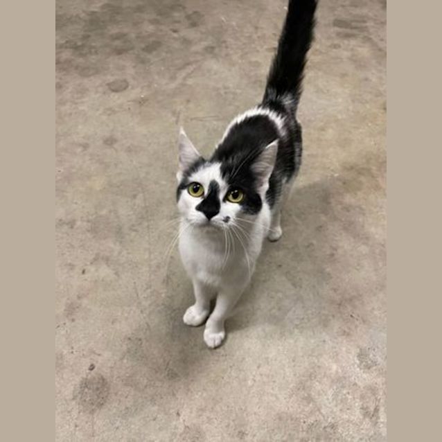 Photo of Catarina Aka Catta