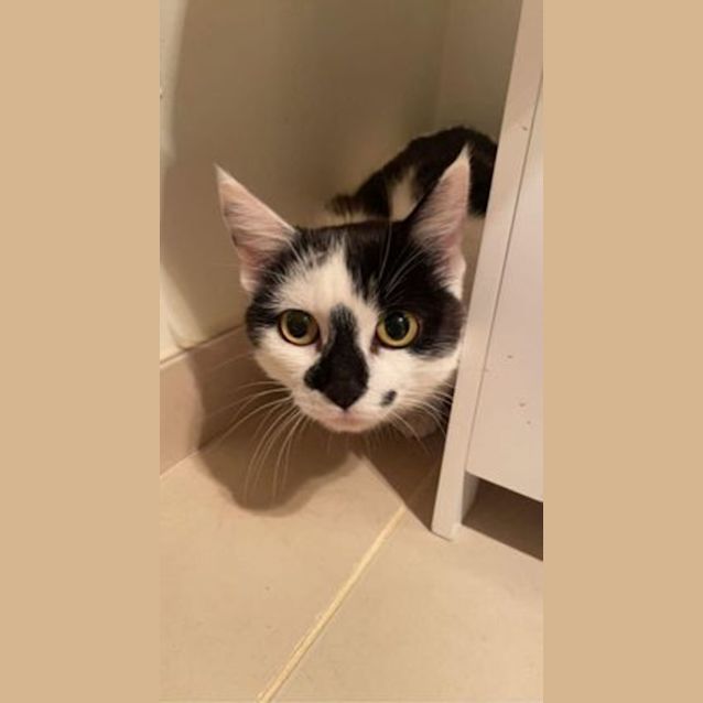 Photo of Catarina Aka Catta