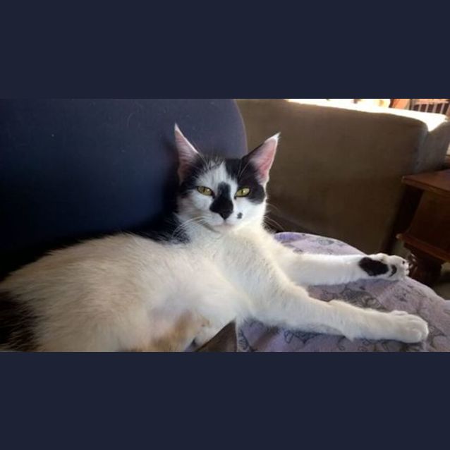 Photo of Catarina Aka Catta