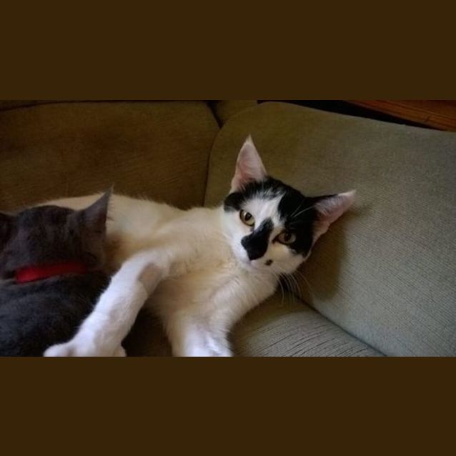 Photo of Catarina Aka Catta