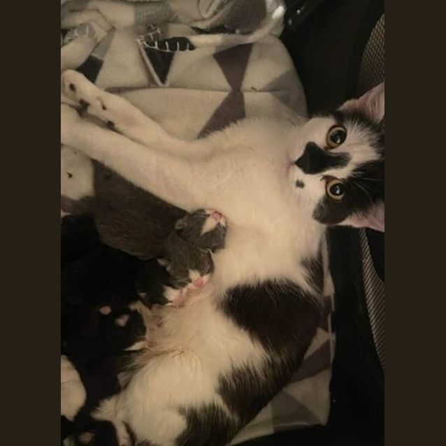 Photo of Catarina Aka Catta