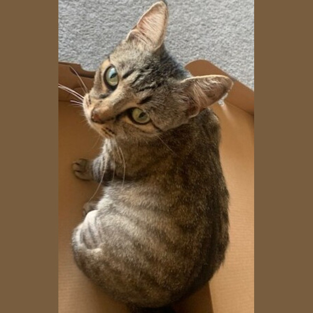 Photo of Lulu