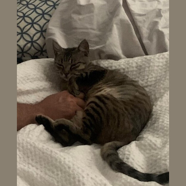 Photo of Lulu