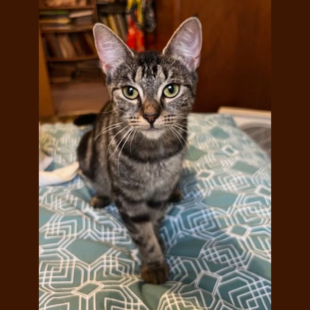 Photo of Cleo
