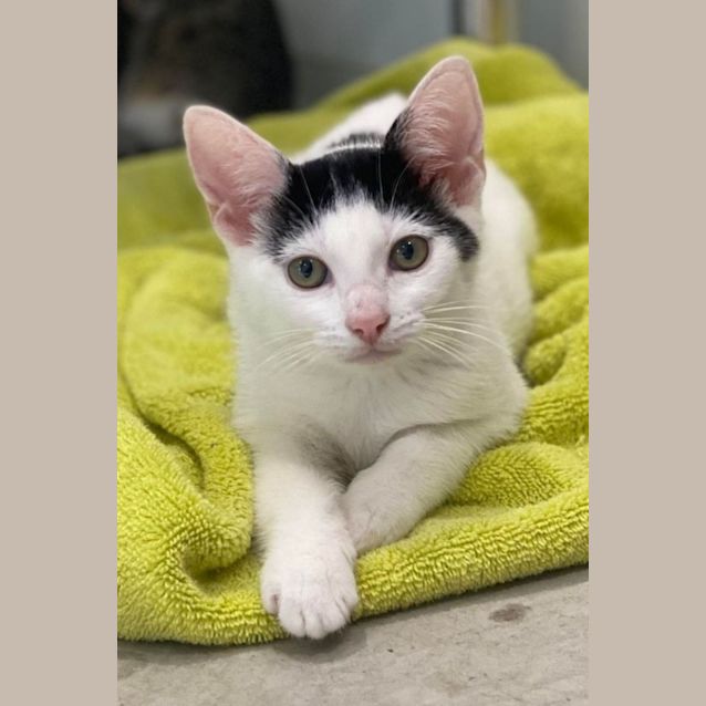 Photo of Molly And Mandy