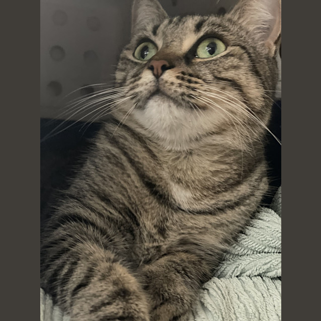 Photo of Lulu