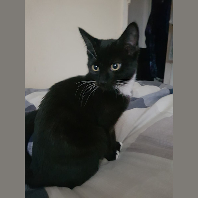 Photo of Hagar & Eli 🌸🐈‍⬛